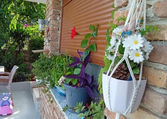 Pasha Hébergement de vacances